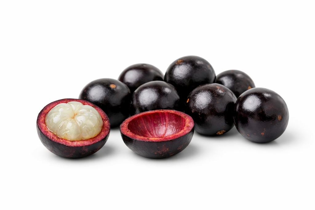 JABUTICABA 1024x683
