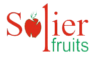 LOGO PNG 1
