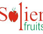 default-logo