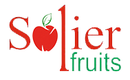 LOGO Mejorado PNG 2 1