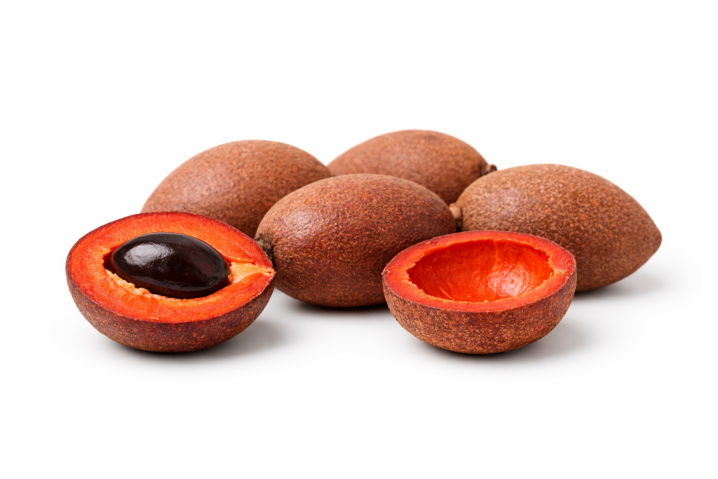 MAMEY 1024x683