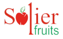 cropped logo mejorado png 2.png