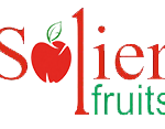 default-logo