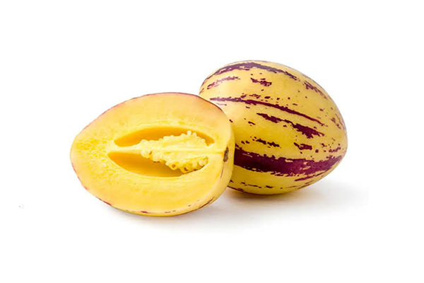 Pepino Melon 2