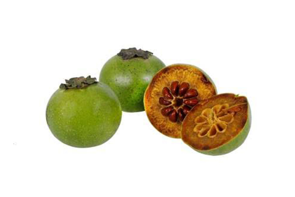 Zapote Negro 2